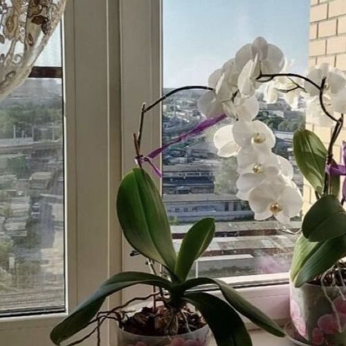 2-комн квартира Реутов, улица Октября, 38