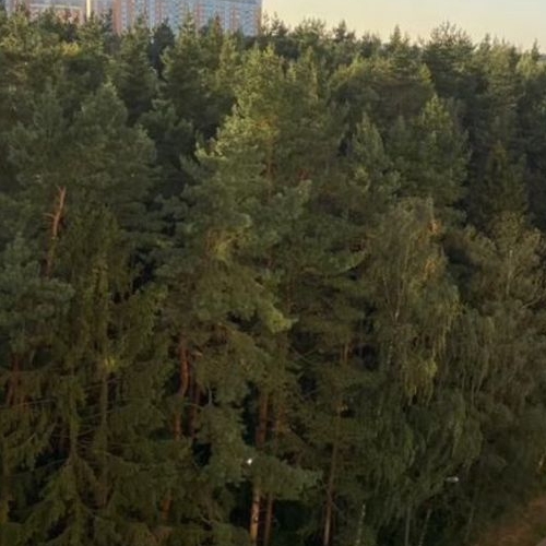 1-комн квартира Изумрудный кв-л, Балашиха,  д. 9