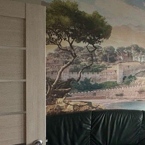 1-комн квартира д. Федурново, улица Авиарембаза, 12