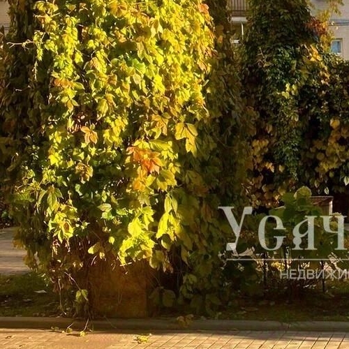 5-комн квартира Большой Левшинский переулок, 11