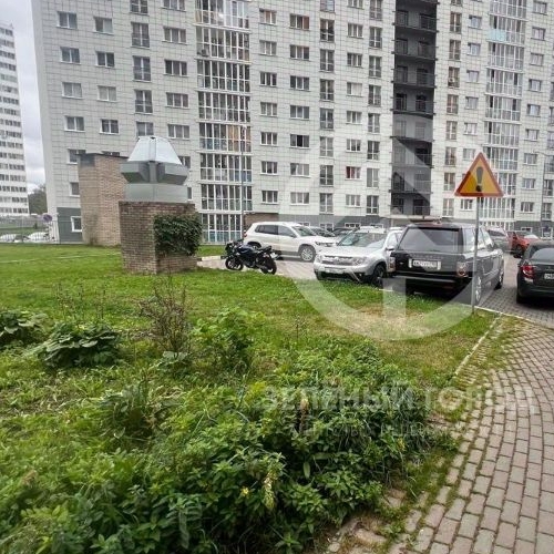 Студия Голубое пгт, проезд Зеленый, 2