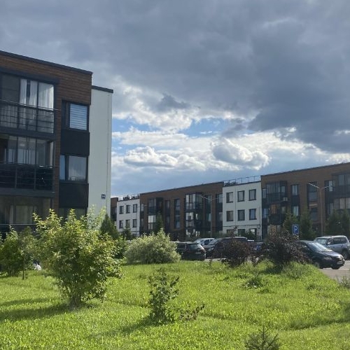 1-комн квартира д. Красный Поселок, улица Конюхова, 10