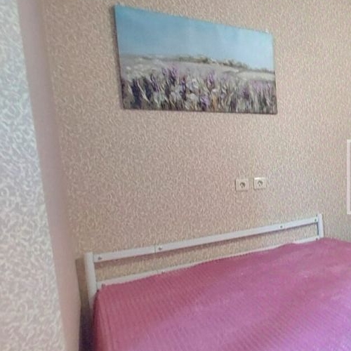 Студия д. Новая Купавна, 5