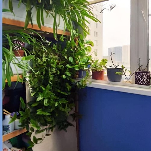 Студия Одинцово, улица Белорусская, 13