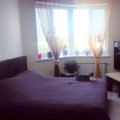 1-комн квартира Балашиха, улица Чистопольская, 32