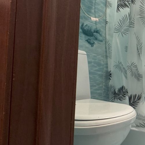 Студия д. Новая Купавна, улица Новая, 4