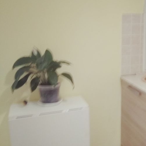 1-комн квартира Раменское, улица Молодежная, 28