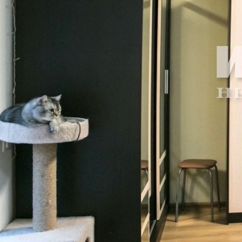 Студия Отрадное пгт, улица Пятницкая, 16