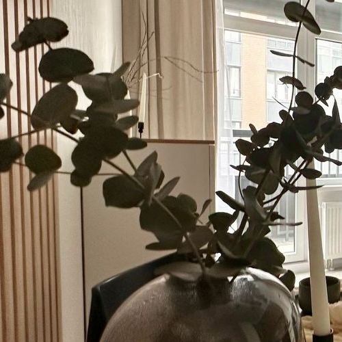 1-комн квартира улица Маргелова, 3к5