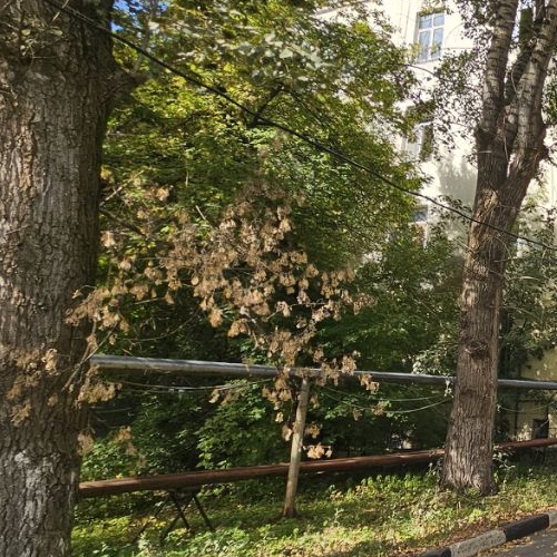 Студия улица 2-я Энтузиастов, 3