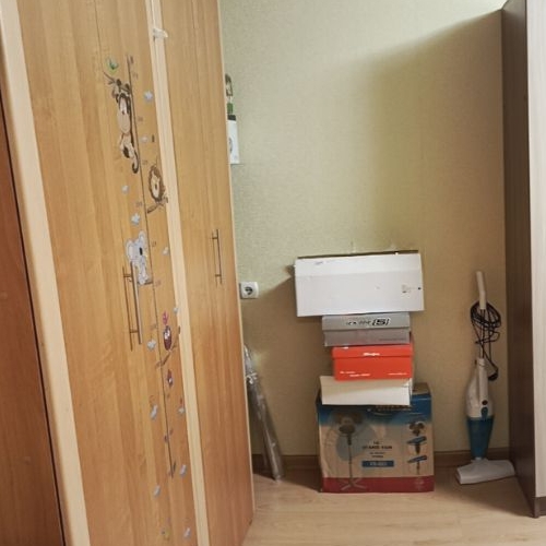 1-комн квартира Орехово-Зуево, улица Якова Флиера, 9