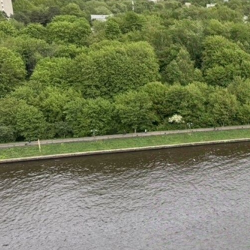 2-комн квартира Химки, улица Кудрявцева, 15