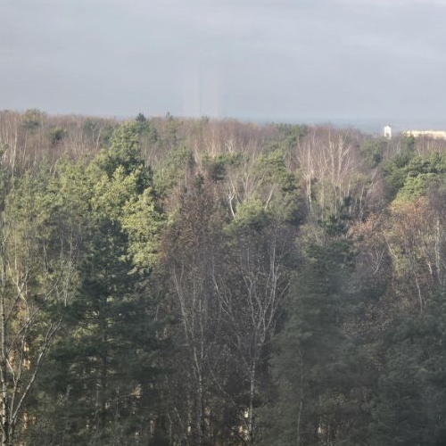 2-комн квартира Ногинск, улица Дмитрия Михайлова, 2