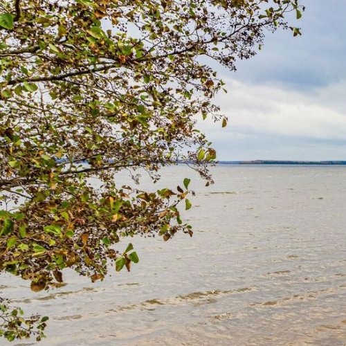 Коттедж/дом Высоцк, Мачтовая улица, 9