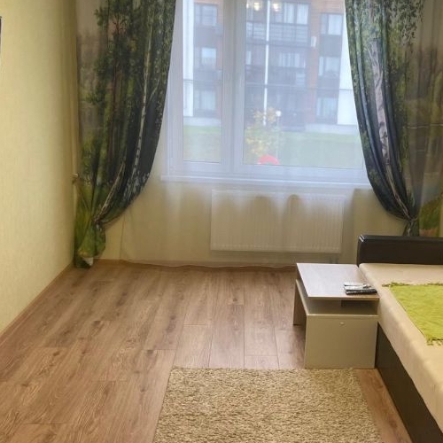 2-комн квартира Сампо ЖК, д. Красный Поселок, улица Фадеева,  д. 3