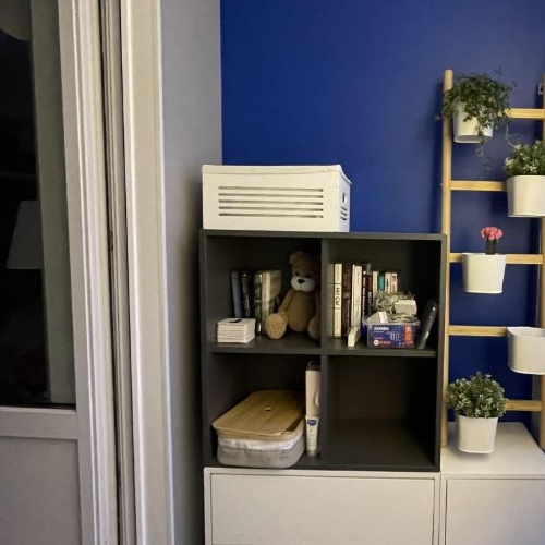 Студия Путилково пгт, улица Новотушинская, 2