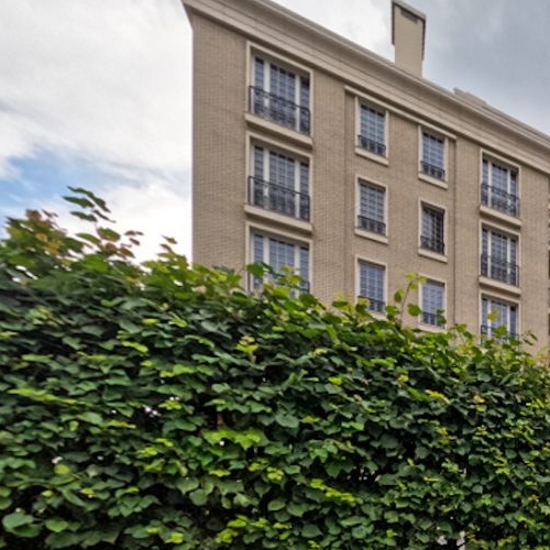 4-комн квартира улица Ефремова, 19к1