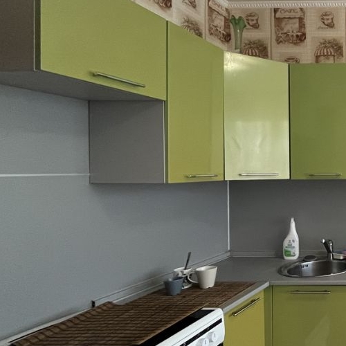 2-комн квартира улица Летчика Грицевца, 9