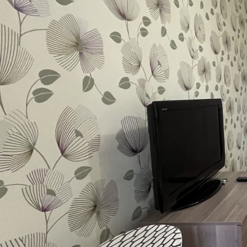 2-комн квартира улица Летчика Грицевца, 9