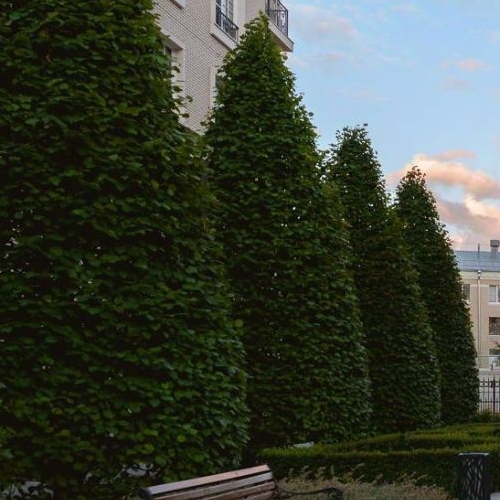 4-комн квартира улица Ефремова, 19к4