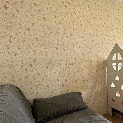 2-комн квартира улица Авиаконструктора Петлякова, 25