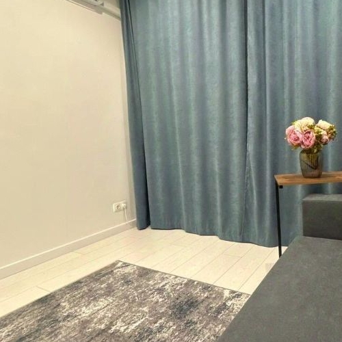 1-комн квартира д. Красный Поселок, улица Конюхова, 10