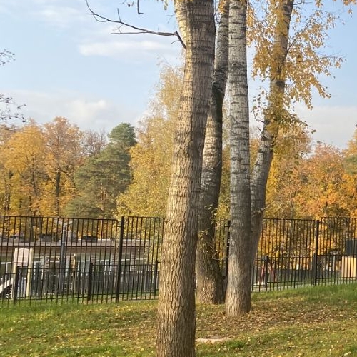 Студия 6-й мкр,  д. 33