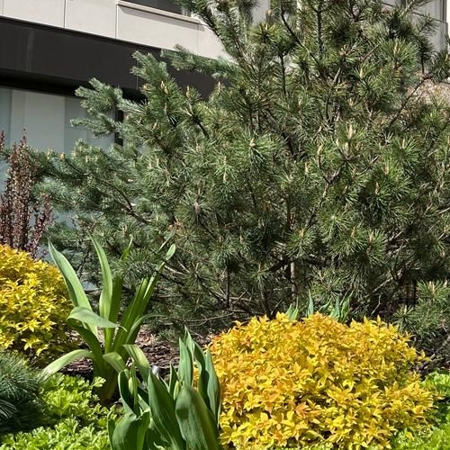 2-комн квартира Озерковская набережная, 6