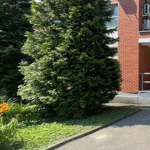 6-комн квартира Видное, улица Ольховая, 2