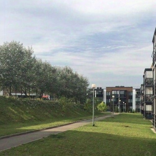 1-комн квартира д. Красный Поселок, улица Конюхова, 16