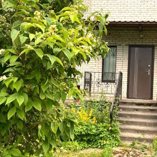 Коттедж/дом пос. Мыза-Ивановка, улица Шоссейная, 33