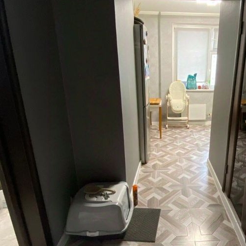 1-комн квартира улица Летчика Грицевца, 5