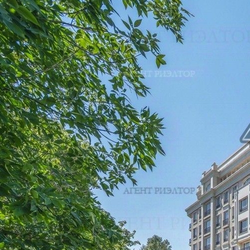 4-комн квартира улица Ефремова, 19к2