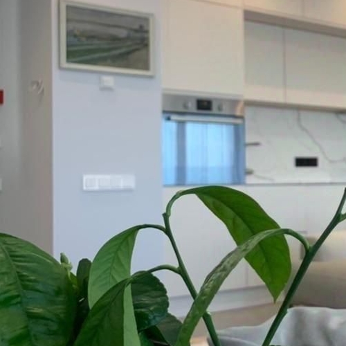 2-комн квартира Бакунинская улица, 5