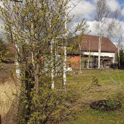 Коттедж/дом д. Новосаратовка, 162/5